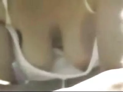 这是公鸡狩猎季节视频（西耶娜西）