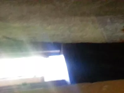莫雷塔考克斯的大公鸡