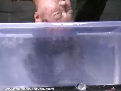 Velicity Von & Bill Bailey 在我的第一个性老师