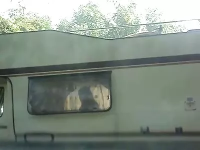 受虐亚洲获取暨溅
